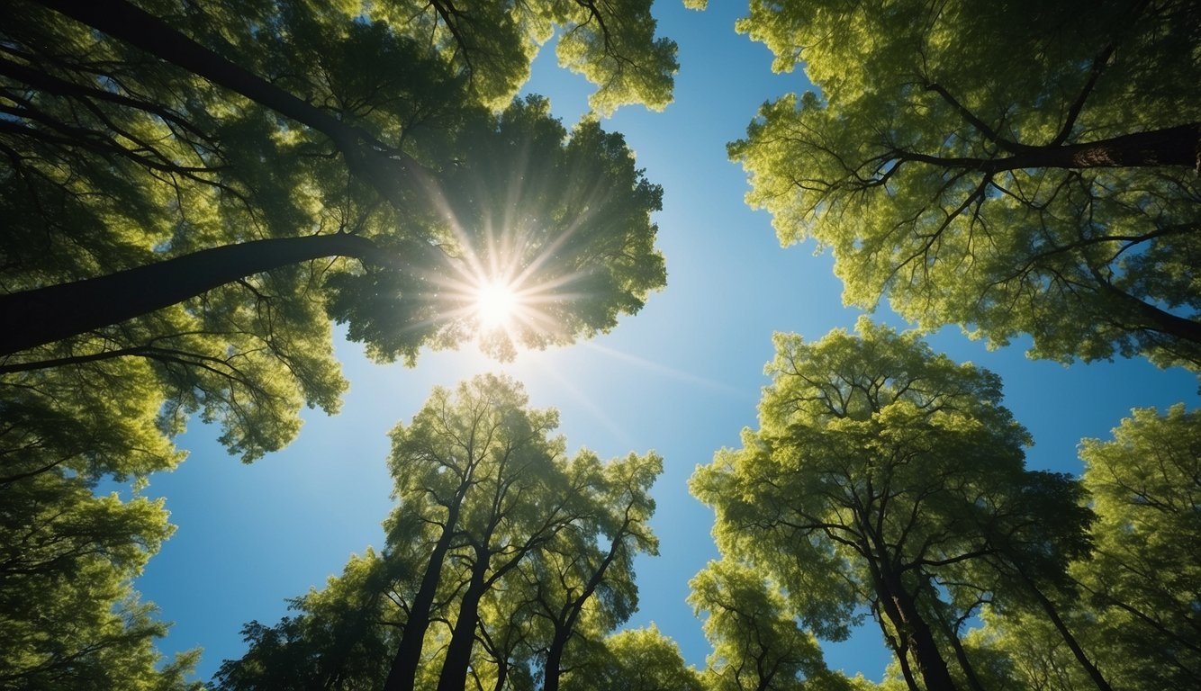 A lush green forest with a clear blue sky above, where a gentle breeze carries fresh air through the trees, symbolizing the cleansing power of Eco Air Solutions